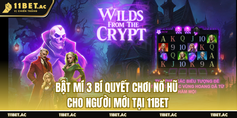 bí quyết chơi nổ hũ cho người mới tại 11bet