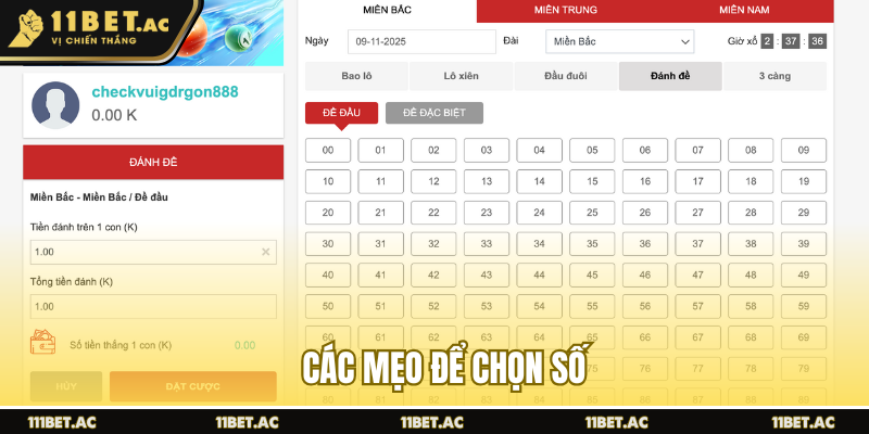 Các mẹo để chọn số bạch thủ lô đề