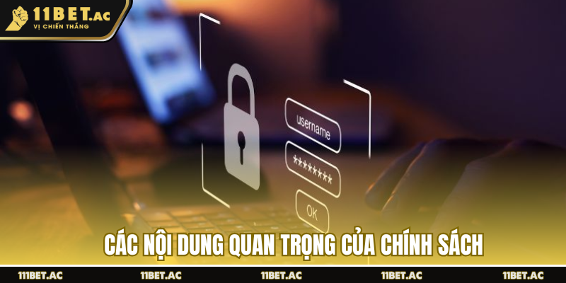 Các nội dung quan trọng của chính sách