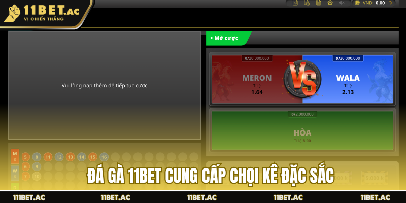 Đá gà 11BET cung cấp chọi kê đặc sắc