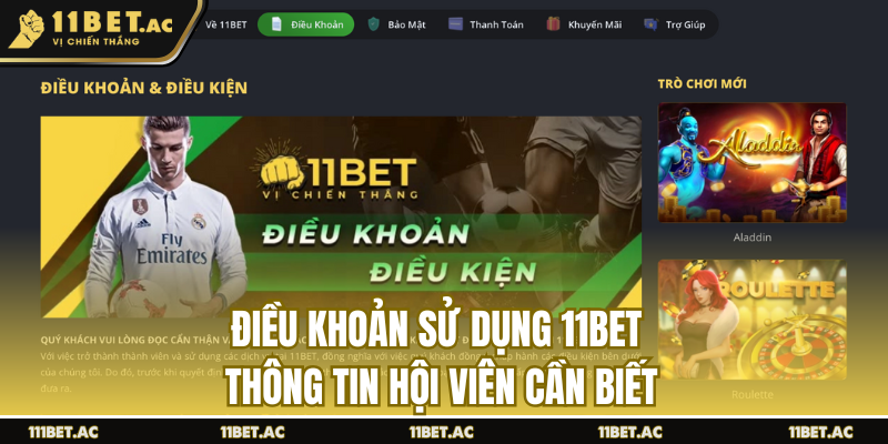 Điều Khoản Sử Dụng 11BET - Thông Tin Hội Viên Cần Biết