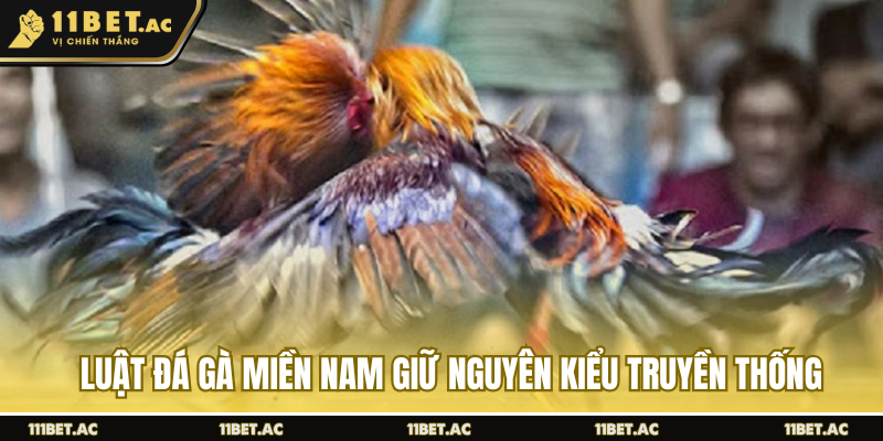 Luật đá gà miền Nam giữ nguyên kiểu truyền thống