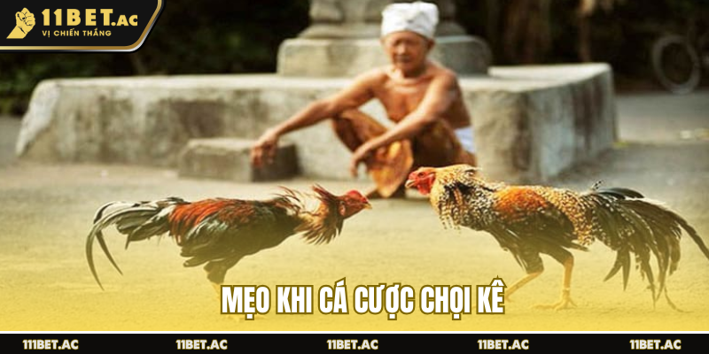 Mẹo khi cá cược chọi kê